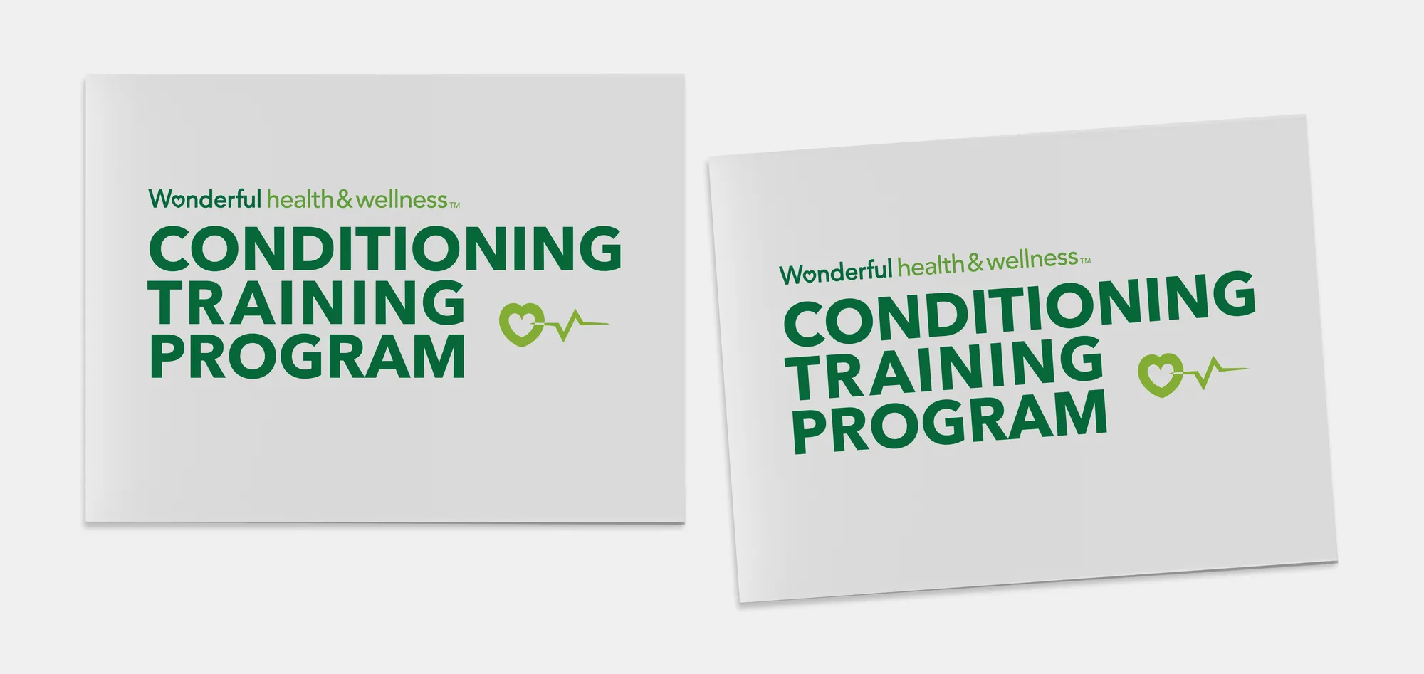 Wonderful Health & Wellness Conditioning Training Program — image 02.png