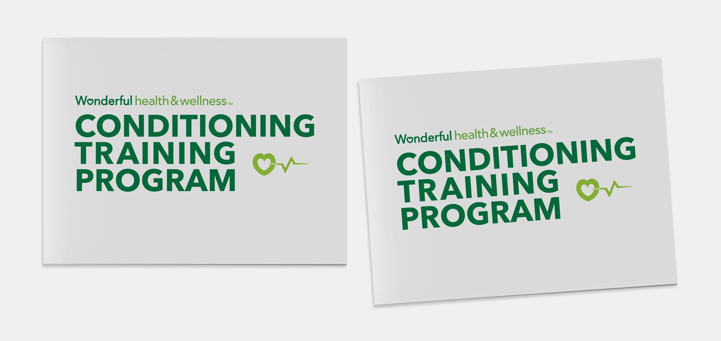 Wonderful Health & Wellness Conditioning Training Program — image 02.png